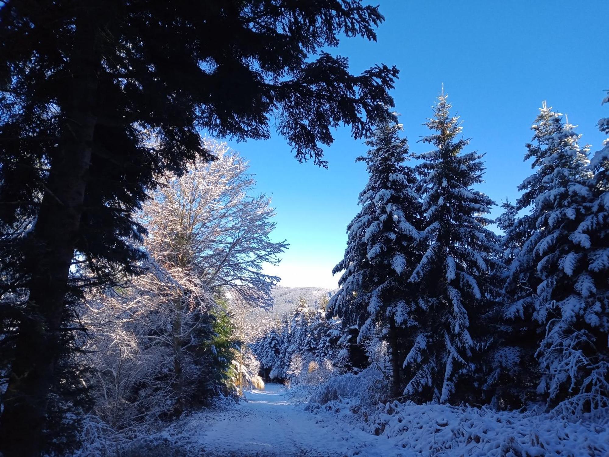 Gite Des 3 Etangs Malvières Dış mekan fotoğraf